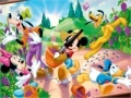 Juego Mickey Garden