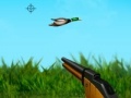 Juego The duck hunter