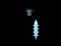 Juego Cyber Worm 