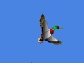Juego I just seen a duck 