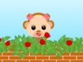 Juego My Love Rose