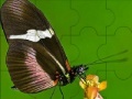 Juego Fantastic butterfly puzzle