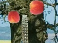 Juego Applecatcher