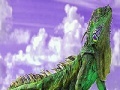 Juego Puzzle: Lizard