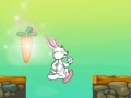Juego Little Rabbit