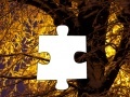 Juego Jigsaw: Snowy Tree