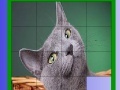 Juego Grizzle cat slide puzzle