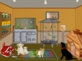 Juego Zoo Shop Decor