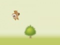 Juego Raccoon rush