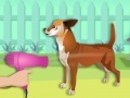 Juego Dress My Pet