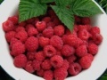 Juego Raspberry puzzle 