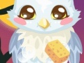 Juego Owl Care