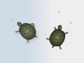 Juego Turtles