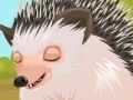 Juego Cute hedgehog care
