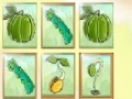Juego Fruit Match