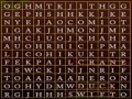 Juego Word Search Gameplay - 22