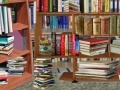 Juego Library Books