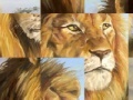 Juego Puzzle Safari