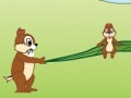 Juego Squirrel Mania