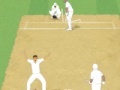 Juego Cricket Umpire Decision