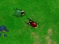 Juego Beetle Wars