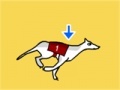Juego Greyhound Racer DX