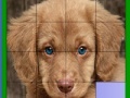 Juego Blue eyed dog slide puzzle