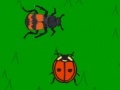 Juego The lady bug