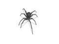 Juego Spider