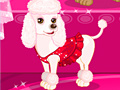 Juego Celebrity Dog