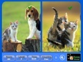Juego Pet Animals - Similarities