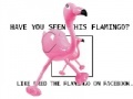 Juego Flamingo
