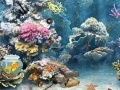 Juego Underwater World